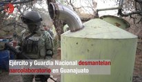 Ejército y Guardia Nacional desmantelan narcolaboratorio en Guanajuato