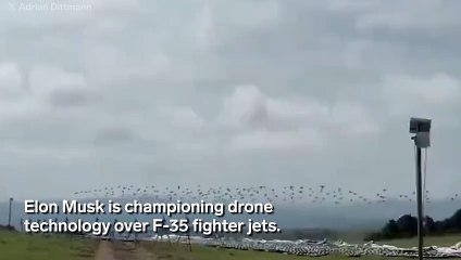 Elon Musk calls F-35 makers 'idiots' while championing drone tech