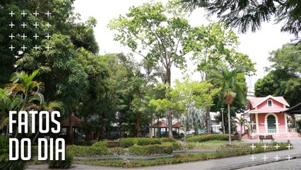 Conheça mais detalhes sobre o programa de arborização urbana de Belém