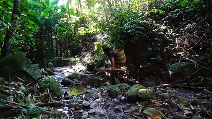 EP.211 - Comida Selvagem, Pescar e Cozinhar