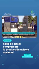 Falta de diésel compromete la producción avícola nacional