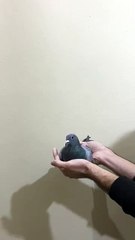 VID-20241125-WA0037 34-24-46559