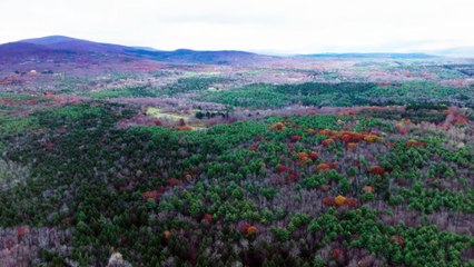 Dark Night of the Soul | movie | 2024 | Official Trailer