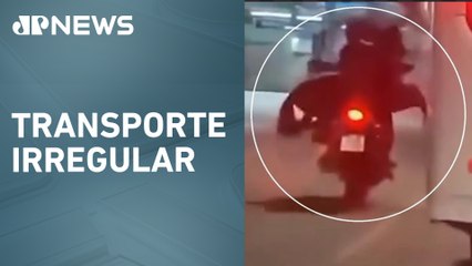 Cavalos são levados em moto e carro no Rio de Janeiro