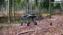 Chinese robotics