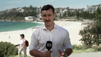 Severe heatwave warning across eastern NSW until Thursday