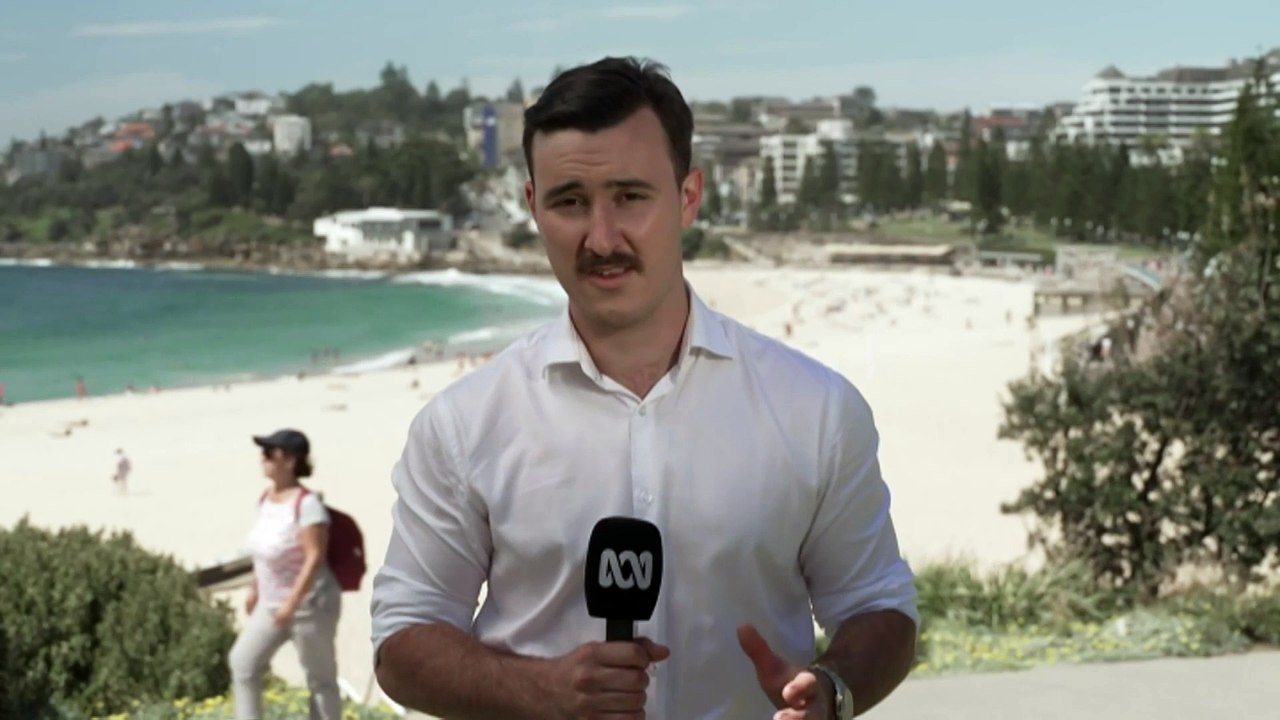 Severe heatwave warning across eastern NSW until Thursday