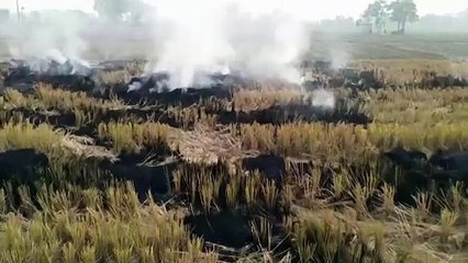 Farmers on India smog: help us, or we have to keep burning fields