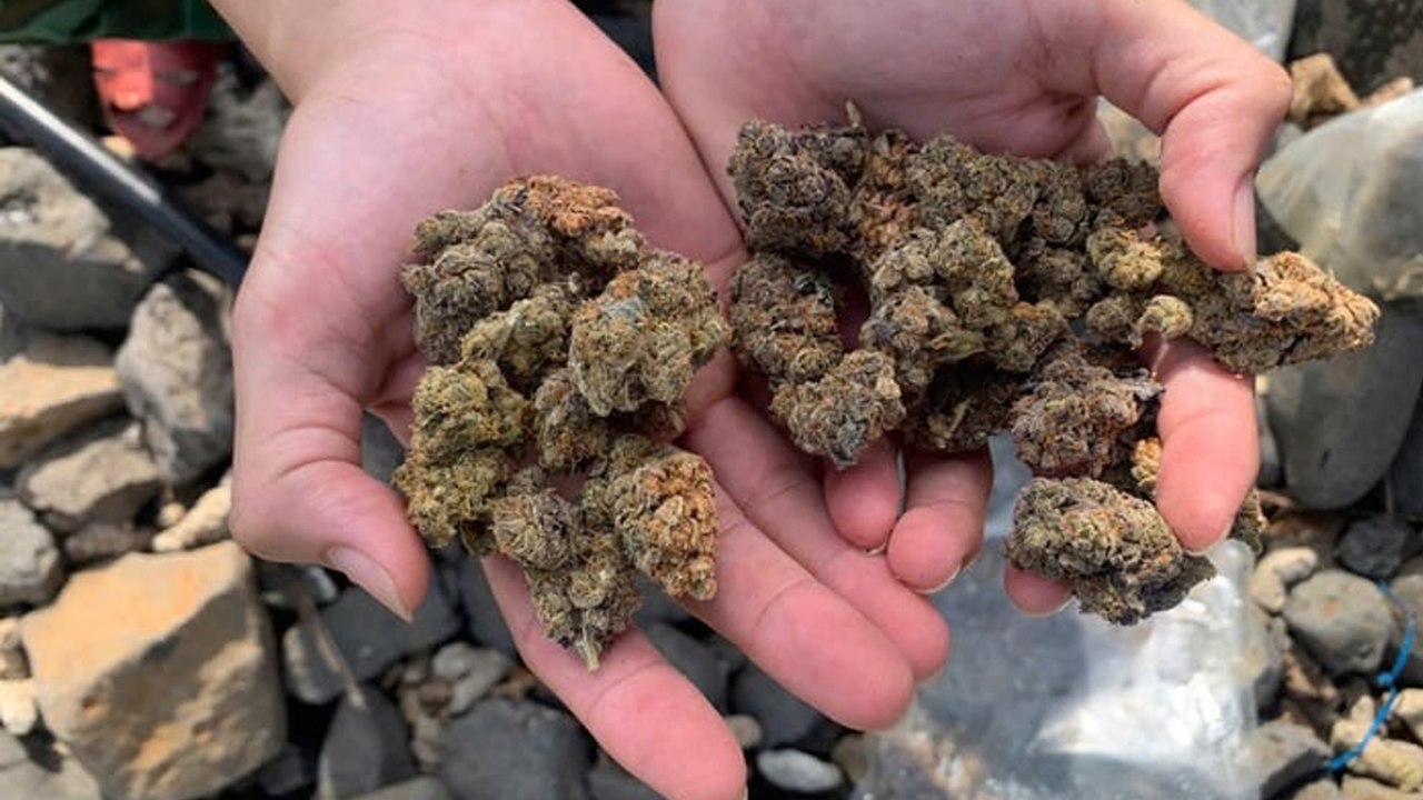 Phát hiện 17 túi thảo mộc khô nghi là ma túy trôi dạt vào bờ biển Quảng Ngãi | VTC Now