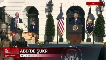 ABD Başkanı Joe Biden iki hindiyi affetti