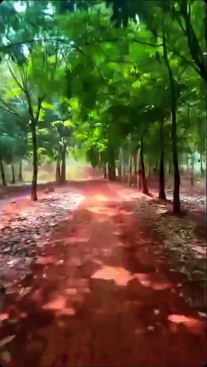 Travel Cambodia with Hidden Cambodia Dirt Bike Tours