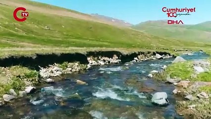 Karadeniz için tehlike çanları çalıyor 'Son 10 yılda ciddi artış...'