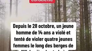 Mulhouse : Un adolescent de seulement 14 ans soupçonné de 4 viols en quelques jours. Il surgissait derrière ses victimes et tentait de les étrangler avec une cordelette