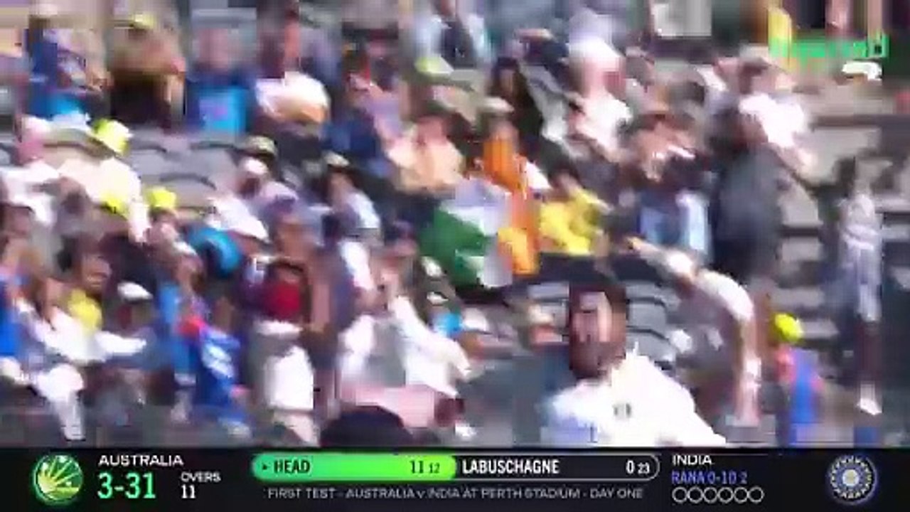 Cricket