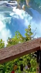 Beauty beauty #naturalbeauty#beauty#natueal#beauty#933#campare#night#j