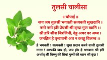 श्री तुलसी चालीसा | Shri Tulsi Chalisa | Tulsi Chalisa With Lyrics & Meaning | एकादशी पर अवश्य पढ़ें