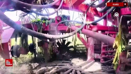 Kars'ta çiftçiler pancarları toplamak için zamanla yarışıyor