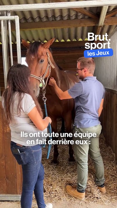 En équitation, les chevaux aussi sont des athlètes