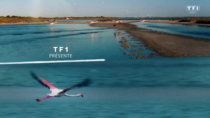 Le générique de "Ici tout commence" sur TF1.