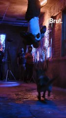Comment gérer une centaine de chiens sur le tournage d'un film ?