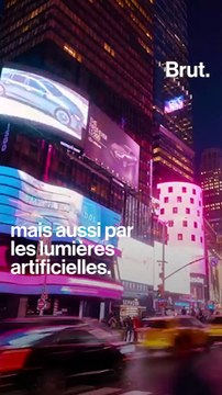 Des lunettes qui filtrent la lumière bleue, le soir