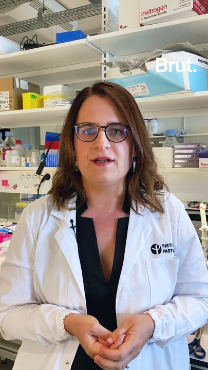 Comment une maladie peut passer de l'animal à l'homme ?