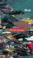 Routes migratoires : 2022, l’année la plus meurtrière depuis 2017