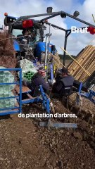 La ferme de la Granja