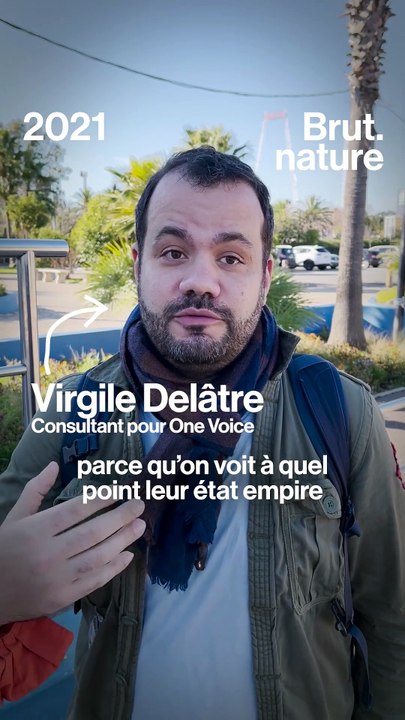 Marineland : une orque morte de façon prématurée