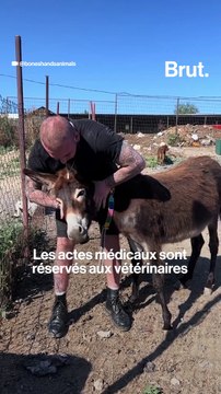Ils font craquer nos animaux, c'est dangereux ?