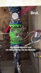 L'arrosage intelligent, comment ça marche ?
