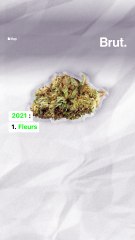 Quelques chiffres sur la consommation du CBD