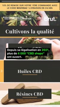 3 anecdotes historiques sur le CBD