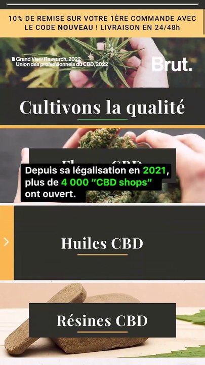 3 anecdotes historiques sur le CBD
