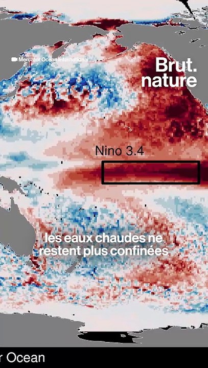 C'est quoi El Niño, le phénomène naturel qui réchauffe la planète ?