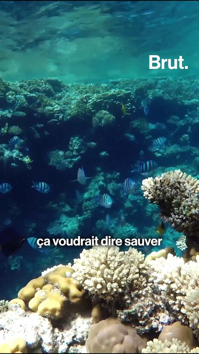 Et s'il n'y avait plus de pétrole ?