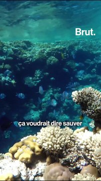 Et s'il n'y avait plus de pétrole ?