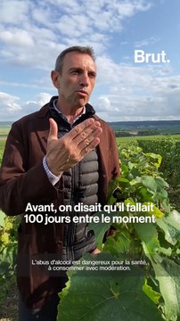 L'impact du dérèglement climatique sur sur l'élaboration du champagne