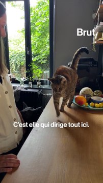 Il fabrique des meubles à partir de déchets