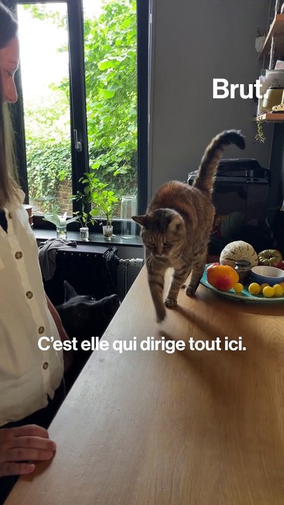 Il fabrique des meubles à partir de déchets