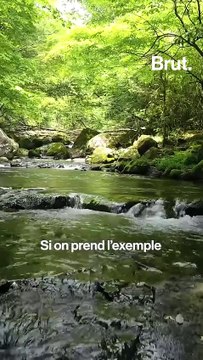 C'est quoi des polluants éternels ?