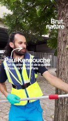 Peut-on vraiment se baigner dans la Seine ?