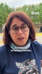 Ils sont en CM1 et ils chantent sur la scène du théâtre du Châtelet