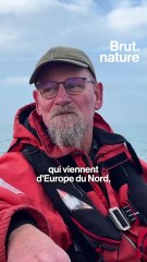 Un projet de parc éolien qui divise au large de Dunkerque