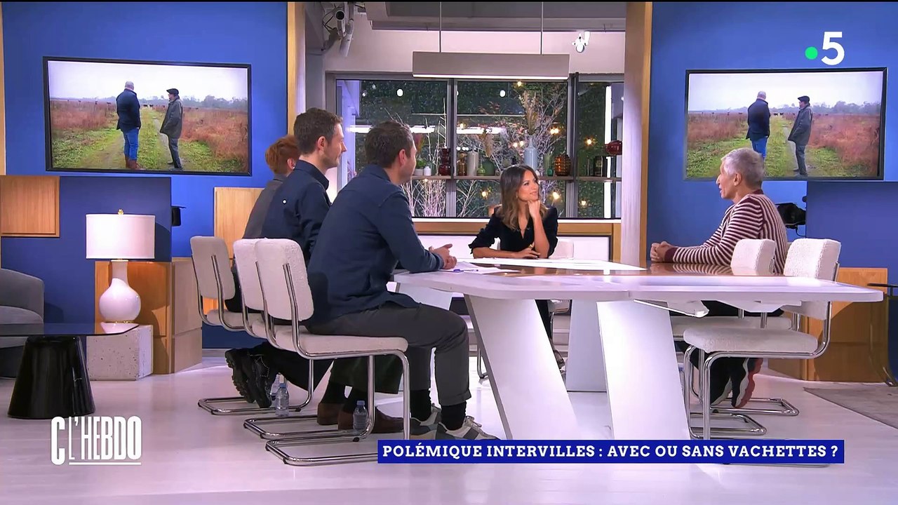 Après le boycott du retour d’"Intervilles" sans vachettes par le maire de Mont-de-Marsan, Nagui lui répond : "En 2005, une vachette est morte pendant les répétitions" - Regardez