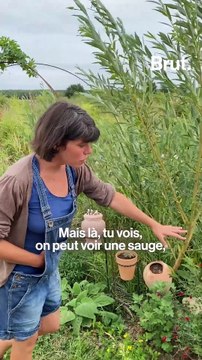 À la ferme du Bol d'Herbe, ils veulent réinventer la paysannerie