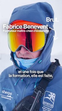 En formation avec les chiens d'avalanche