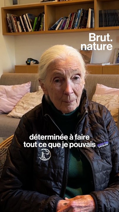 Le jour où Jane Goodall est passée de scientifique à activiste