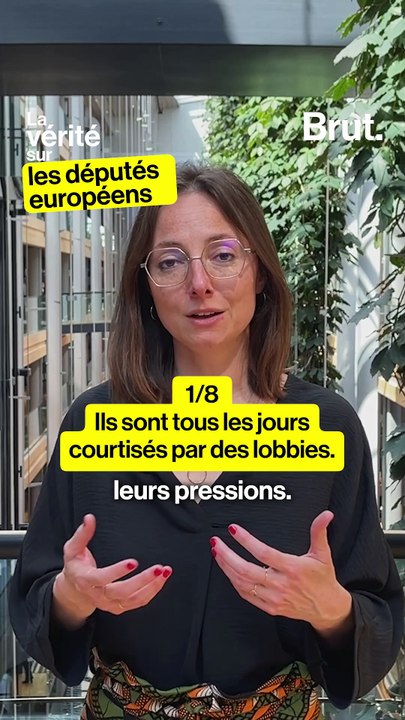La vérité sur les députés européens par une eurodéputée