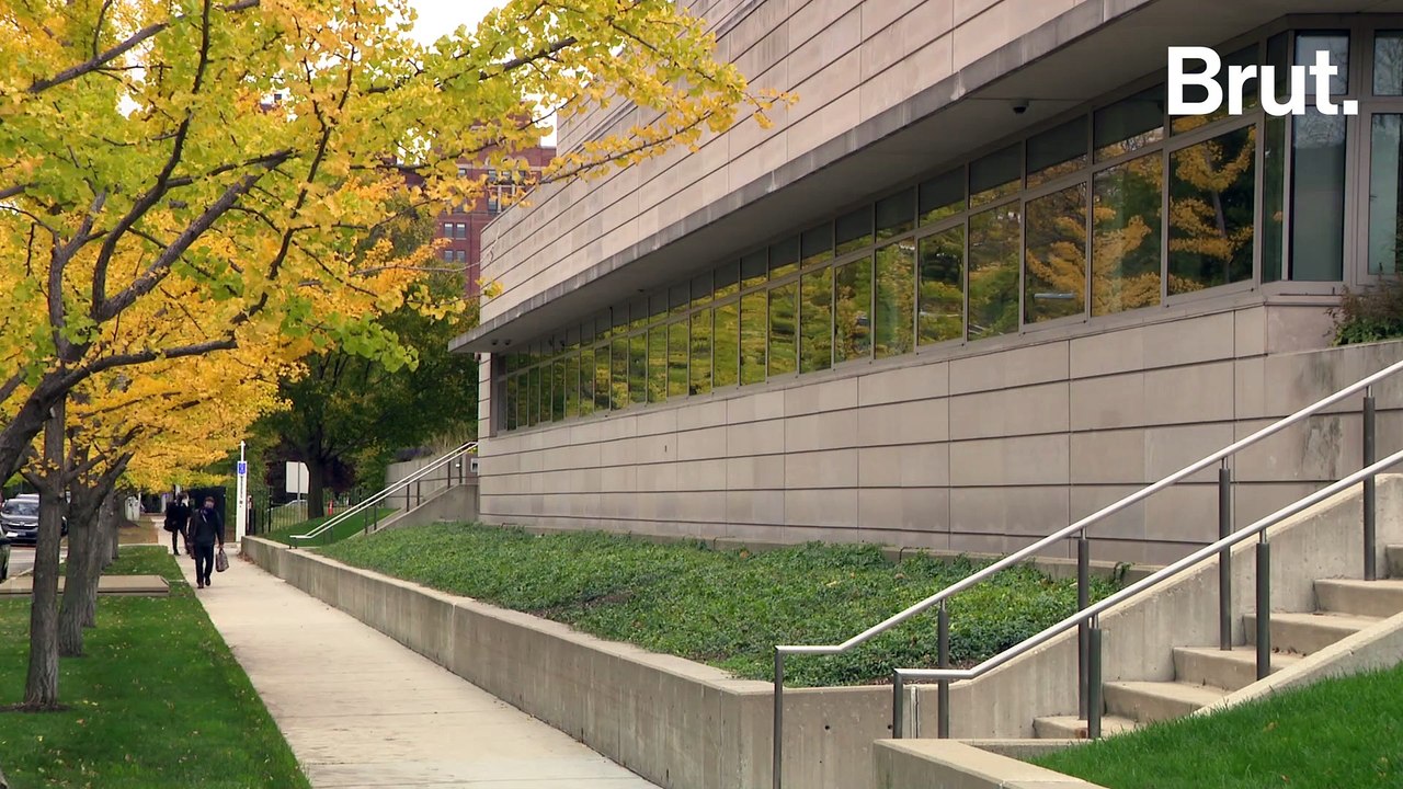 Ce multimillionnaire veut devenir immortel